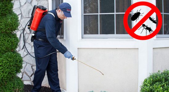 Laçin Bit İlaçlama böcek ilaçlama ve haşere kontrolü — ilaclama-tr.com